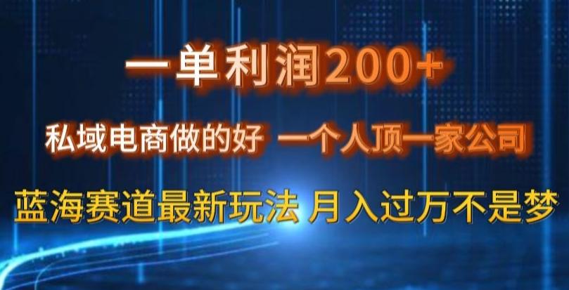 一单利润200私域电商做的好，一个人顶一家公司蓝海赛道最新玩法【揭秘】-悟空云赚AI