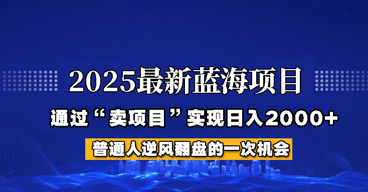 2025年蓝海项目，如何通过“网创项目”日入2000+-悟空云赚AI