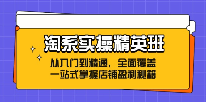 淘系实操精英班：从入门到精通，全面覆盖，一站式掌握店铺盈利秘籍-悟空云赚AI