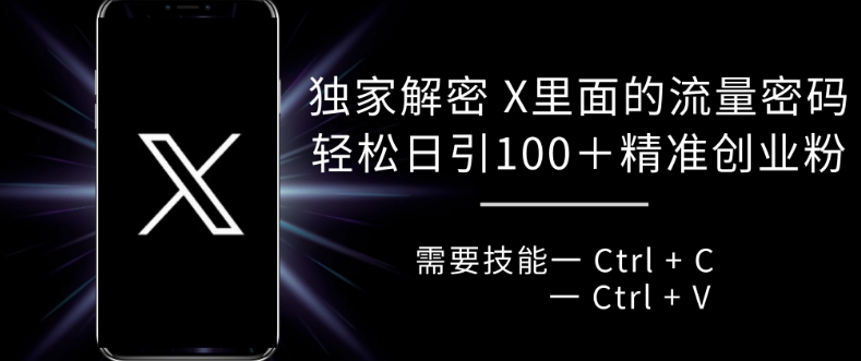 独家解密 X 里面的流量密码，复制粘贴轻松日引100+-悟空云赚AI