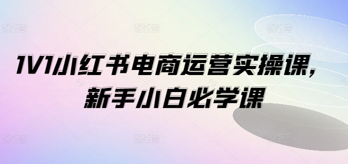 1V1小红书电商运营实操课，新手小白必学课-悟空云赚AI