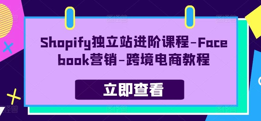 Shopify独立站进阶课程-Facebook营销-跨境电商教程-悟空云赚AI