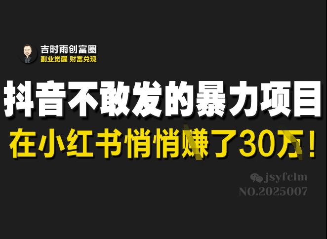 抖音不敢发的暴利项目，在小红书悄悄挣了30W-悟空云赚AI