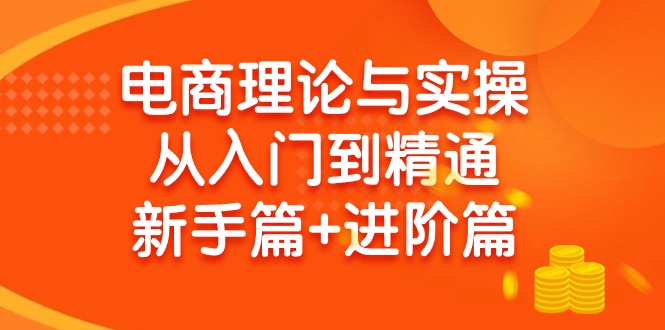 (9576期)电商理论与实操从入门到精通 新手篇+进阶篇-悟空云赚AI