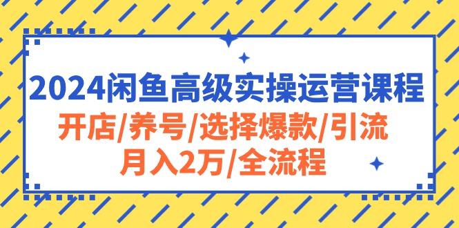 2024闲鱼高级实操运营课程：开店/养号/选择爆款/引流/月入2万/全流程-悟空云赚AI