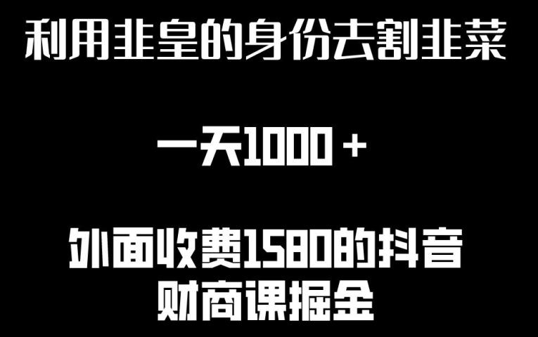 利用非皇的身份去割韭菜，一天1000+(附详细资源)【揭秘】-悟空云赚AI