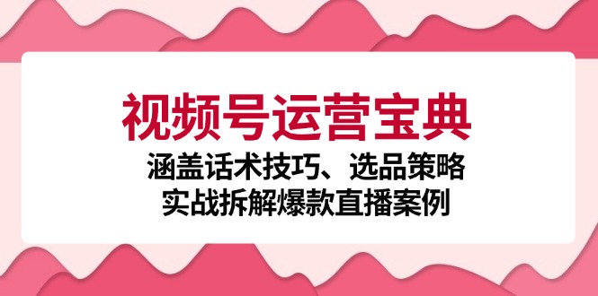 视频号运营宝典：涵盖话术技巧、选品策略、实战拆解爆款直播案例-悟空云赚AI