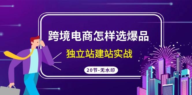 (9369期)跨境电商怎样选爆品，独立站建站实战(20节高清无水印课)-悟空云赚AI