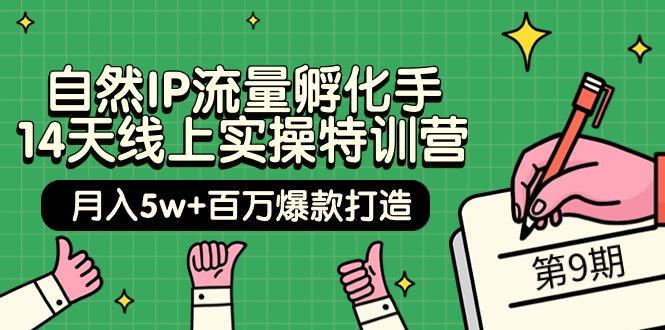 (9881期)自然IP流量孵化手 14天线上实操特训营【第9期】月入5w+百万爆款打造 (74节)-悟空云赚AI