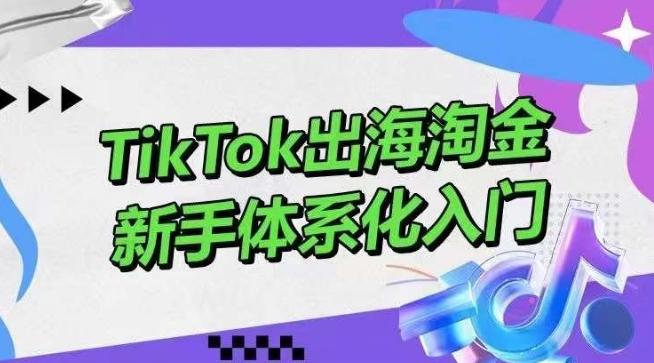 TikTok出海淘金，新手体系化入门，零基础快速入门，掌握短视频、直播带货等引流到变现的知识-悟空云赚AI