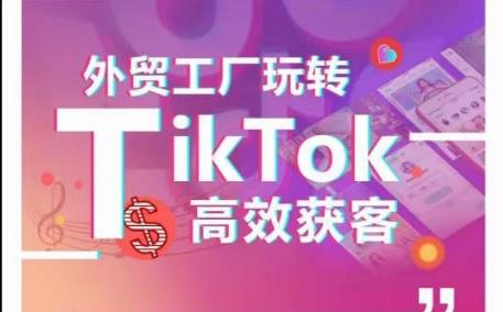 外贸工厂玩转TikTok高效获客，多种引流方式与账号定位技巧，拆解爆款短视频打造成功案例-悟空云赚AI