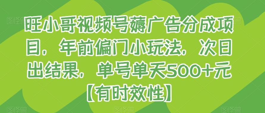 旺小哥视频号薅广告分成项目，年前偏门小玩法，次日出结果，单号单天500+元【有时效性】-悟空云赚AI