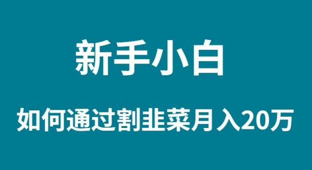 (9308期)新手小白如何通过割韭菜月入 20W-悟空云赚AI