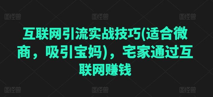 互联网引流实战技巧(适合微商，吸引宝妈)，宅家通过互联网赚钱-悟空云赚AI