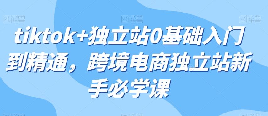 tiktok+独立站0基础入门到精通，跨境电商独立站新手必学课-悟空云赚AI