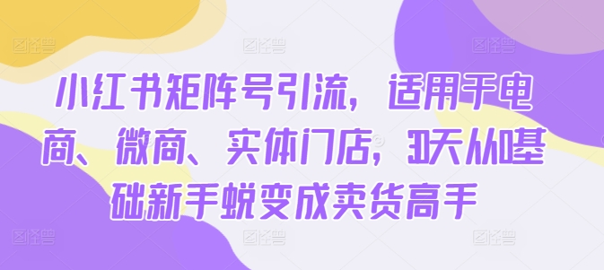 小红书矩阵号引流，适用于电商、微商、实体门店，30天从0基础新手蜕变成卖货高手-悟空云赚AI