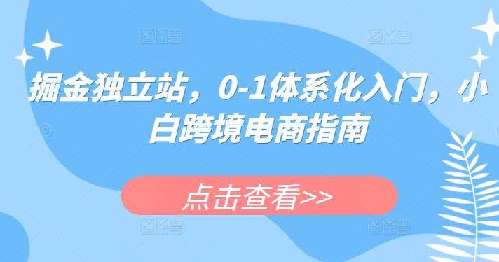 掘金独立站，0-1体系化入门，小白跨境电商指南-悟空云赚AI