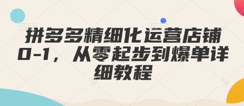 拼多多精细化运营店铺0-1，从零起步到爆单详细教程-悟空云赚AI