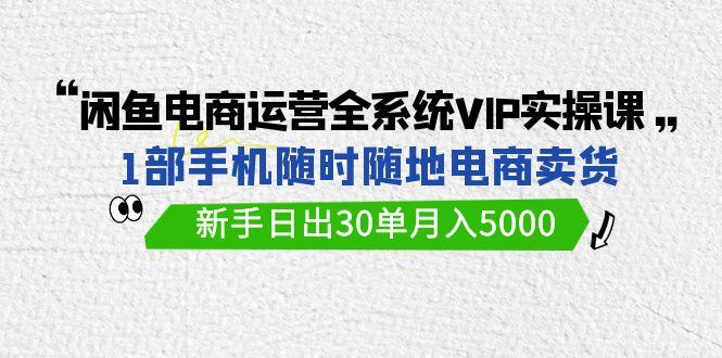 (9547期)闲鱼电商运营全系统VIP实战课，1部手机随时随地卖货，新手日出30单月入5000-悟空云赚AI