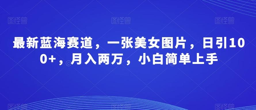 最新蓝海赛道，一张美女图片，日引100+，月入两万，小白简单上手-悟空云赚AI