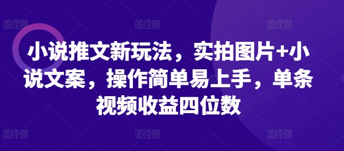 小说推文新玩法，实拍图片+小说文案，操作简单易上手，单条视频收益四位数-悟空云赚AI