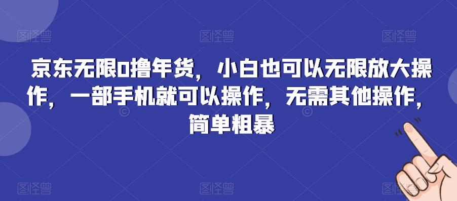 京东无限0撸年货，小白也可以无限放大操作，一部手机就可以操作，无需其他操作，简单粗暴-悟空云赚AI
