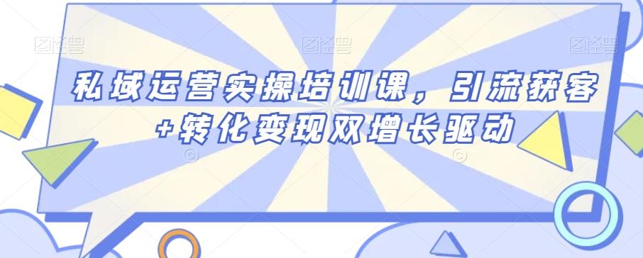 私域运营实操培训课，引流获客+转化变现双增长驱动-悟空云赚AI