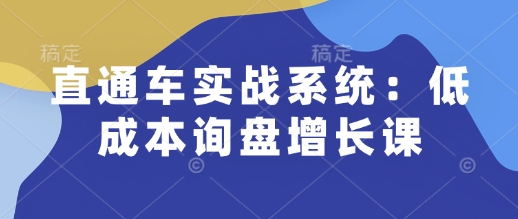 直通车实战系统：低成本询盘增长课，让个人通过技能实现升职加薪，让企业低成本获客，订单源源不断-悟空云赚AI