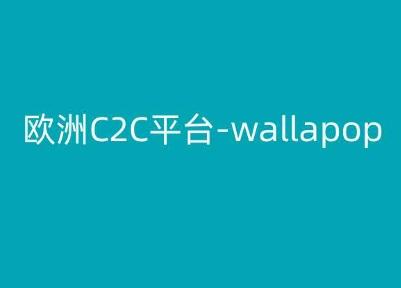 欧洲C2C平台-wallapop-kim跨境电商教程-悟空云赚AI