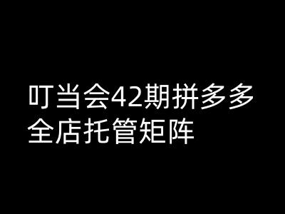 叮当会拼多多打爆班原创高阶技术第42期，拼多多全店托管矩阵-悟空云赚AI