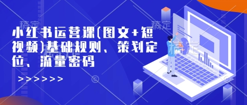 小红书运营课(图文+短视频)基础规则、策划定位、流量密码-悟空云赚AI