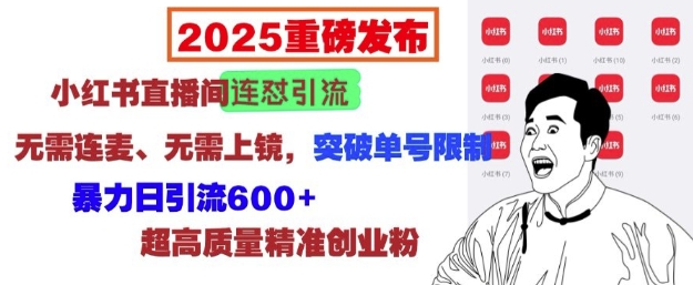 2025重磅发布：小红书直播间连怼引流，无需连麦、无需上镜，突破单号限制，暴力日引流600+-悟空云赚AI