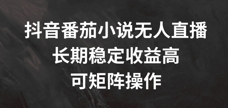 抖音番茄小说无人直播，长期稳定收益高，可矩阵操作【揭秘】-悟空云赚AI