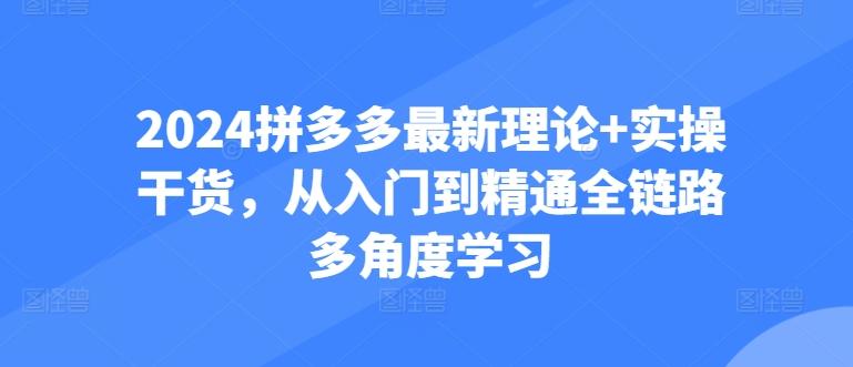 2024拼多多最新理论+实操干货，从入门到精通全链路多角度学习-悟空云赚AI