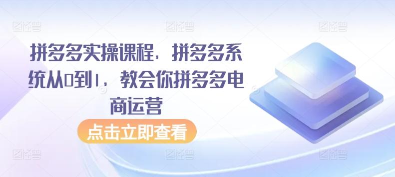 拼多多实操课程，拼多多系统从0到1，教会你拼多多电商运营-悟空云赚AI