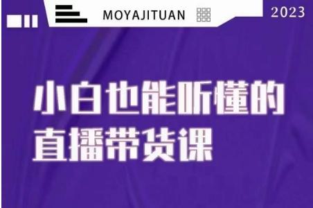 大威本威·能听懂的直播带货课，小白也能听懂，20节完整-悟空云赚AI