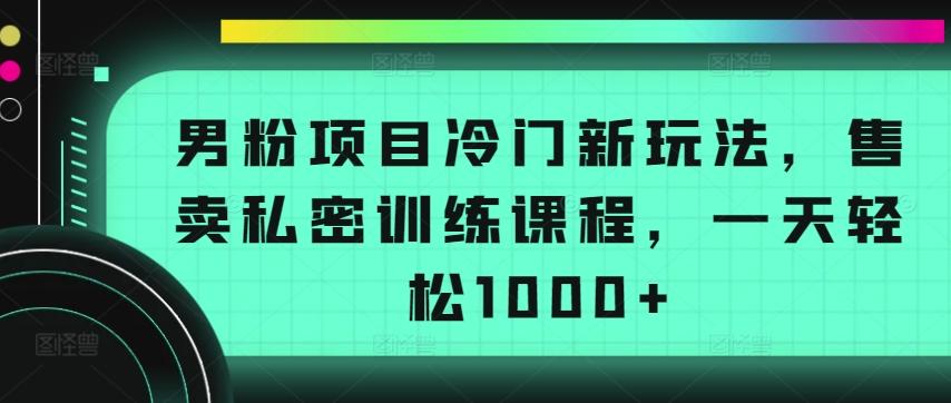 男粉项目冷门新玩法，售卖私密训练课程，一天轻松1000+【揭秘】-悟空云赚AI