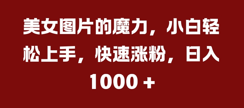 美女图片的魔力，小白轻松上手，快速涨粉，日入几张【揭秘】-悟空云赚AI