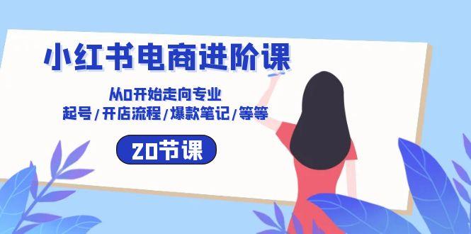 小红书电商进阶课：从0开始走向专业 起号/开店流程/爆款笔记/等等(20节-悟空云赚AI