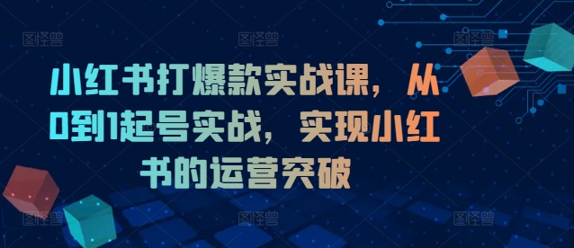 小红书打爆款实战课，从0到1起号实战，实现小红书的运营突破-悟空云赚AI