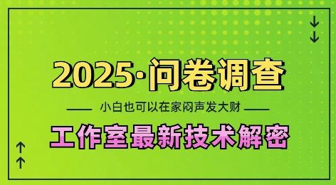 2025问卷调查最新工作室技术解密：一个人在家也可以闷声发大财，小白一天2张，可矩阵放大【揭秘】-悟空云赚AI