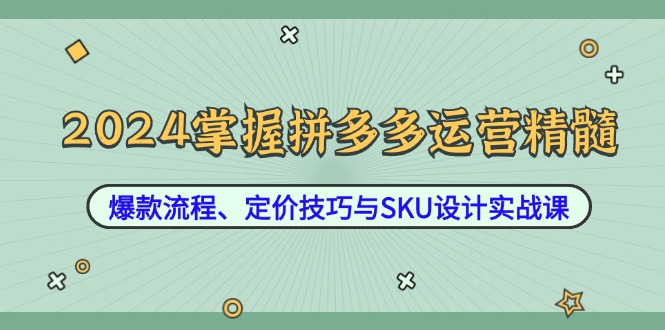 2024掌握拼多多运营精髓：爆款流程、定价技巧与SKU设计实战课-悟空云赚AI