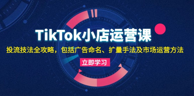 TikTok小店运营课：投流技法全攻略，包括广告命名 扩量手法及市场运营方法-悟空云赚AI