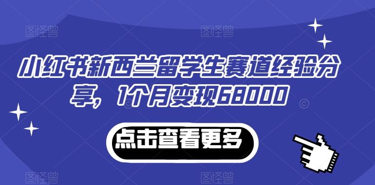 小红书新西兰留学生赛道经验分享，1个月变现68000【揭秘】-悟空云赚AI