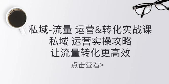 私域-流量 运营&转化实操课：私域 运营实操攻略 让流量转化更高效-悟空云赚AI