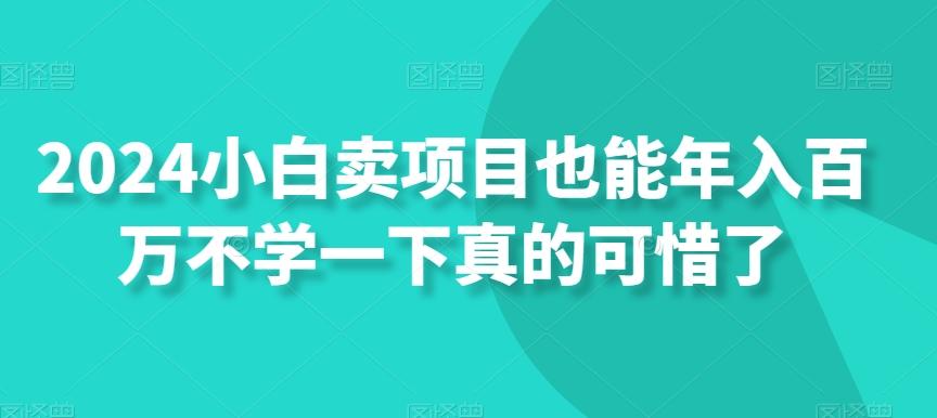 2024小白卖项目也能年入百万不学一下真的可惜了-悟空云赚AI