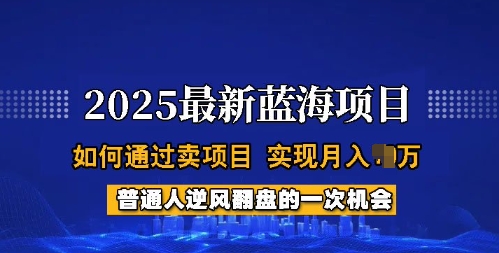 2025蓝海项目，普通人如何通过卖项目，实现月入过W，全过程【揭秘】-悟空云赚AI