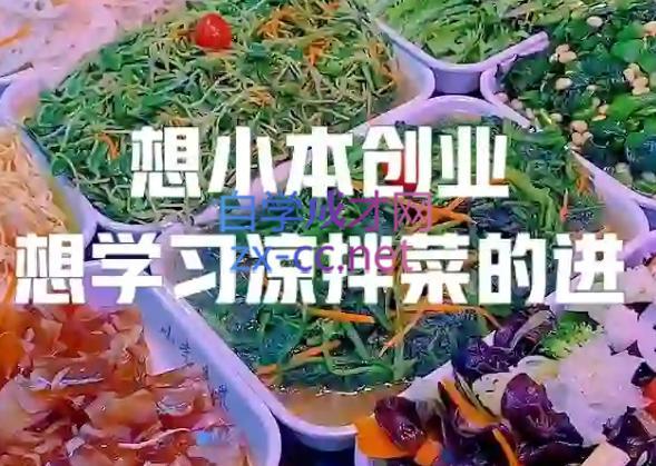李记·精品凉拌菜系列热卤系列教程-悟空云赚AI