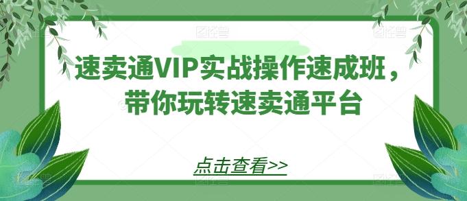 速卖通VIP实战操作速成班，带你玩转速卖通平台-悟空云赚AI