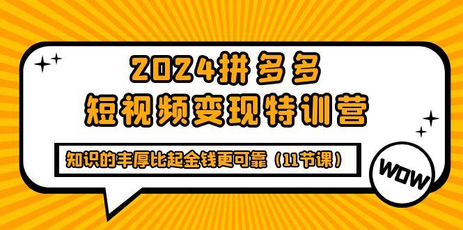 (9817期)2024拼多多短视频变现特训营，知识的丰厚比起金钱更可靠(11节课)-悟空云赚AI